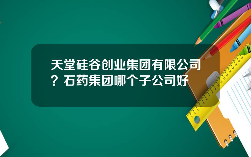 天堂硅谷创业集团有限公司？石药集团哪个子公司好