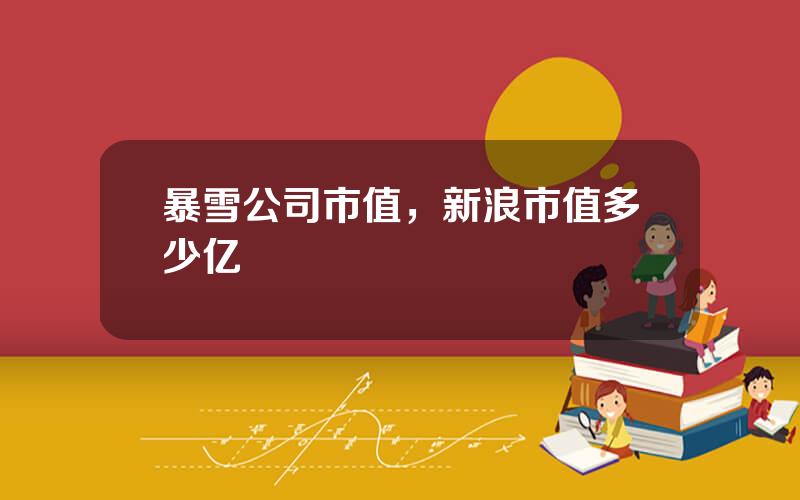 暴雪公司市值，新浪市值多少亿