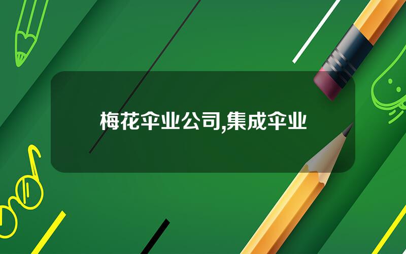 梅花伞业公司,集成伞业