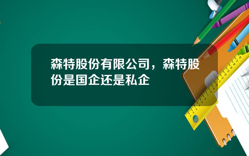 森特股份有限公司，森特股份是国企还是私企