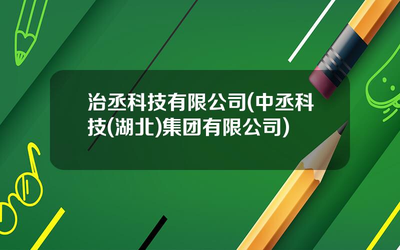 治丞科技有限公司(中丞科技(湖北)集团有限公司)