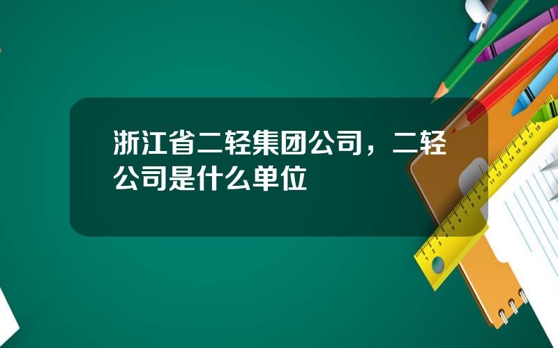 浙江省二轻集团公司，二轻公司是什么单位