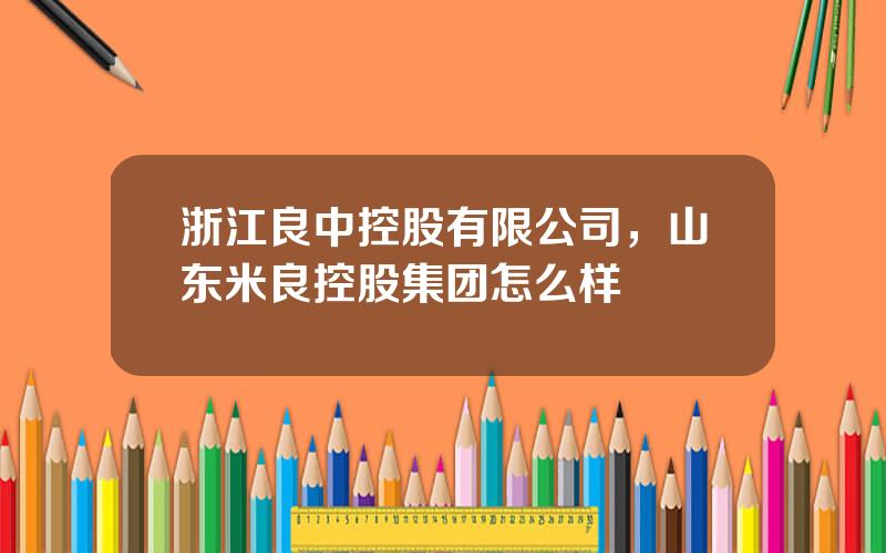 浙江良中控股有限公司，山东米良控股集团怎么样